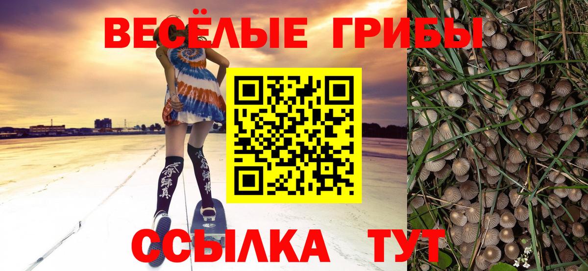 Галлюциногенные грибы Magic Shrooms  Псилоцибиновые грибы Psilocybine cubensis  Вход с VPN  Касимов 