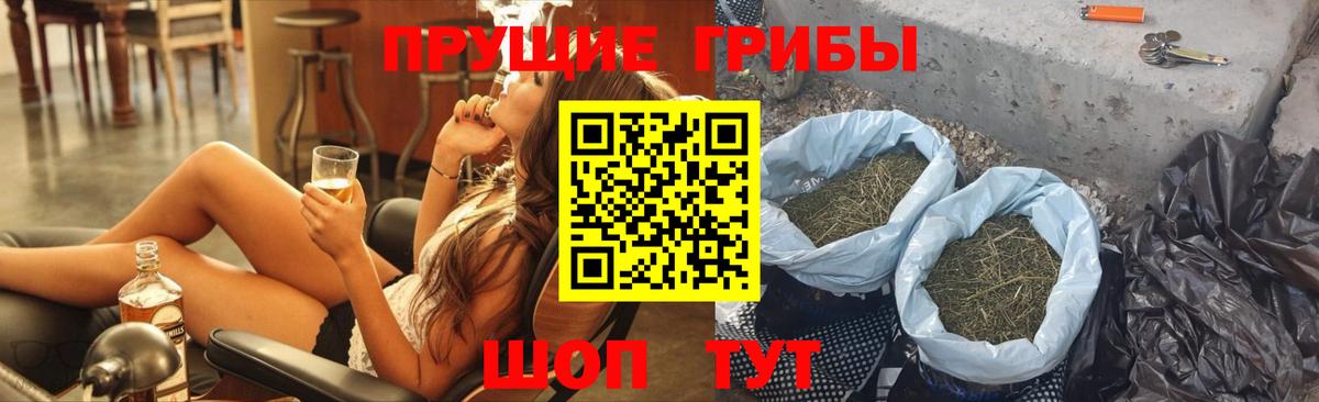 Псилоцибиновые грибы GOLDEN TEACHER Касимов